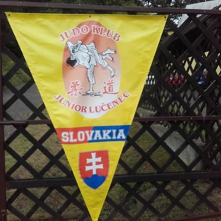 Turistická ubytovňa Hotel Divin Divín Exterior foto