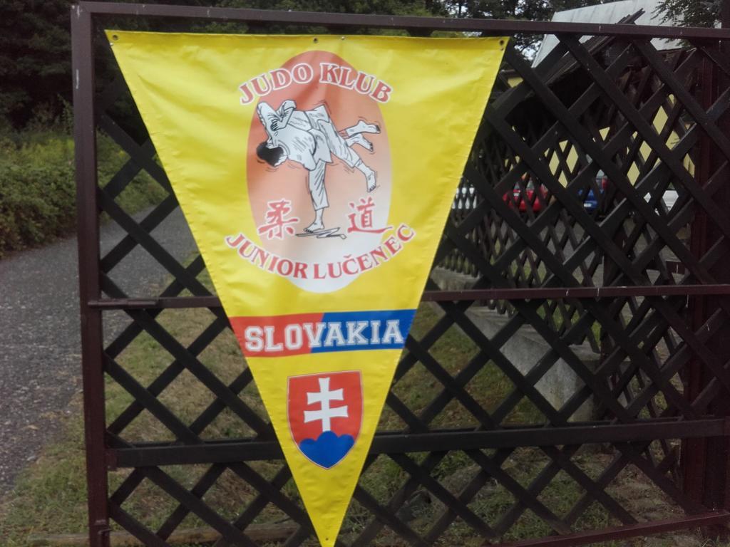 Turistická ubytovňa Hotel Divin Divín Exterior foto